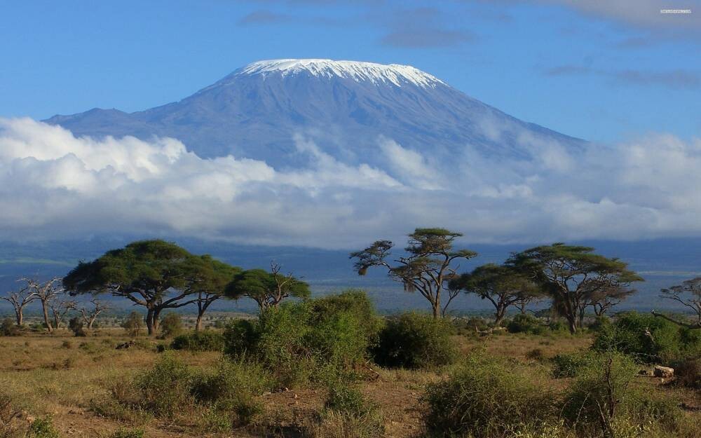 Helicopter crashes on Mount Kilimanjaro in Tanzania